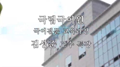 국립국어원 국어전문교육과정 특강 - 김상준 교수